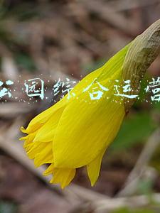 城市公园运营管理模式(四川天府新区公园城市标准化综合试点正式启动)