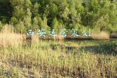 西安运营策划公司(花海、美食、看戏！2022春节，江门游玩最全攻略来啦)