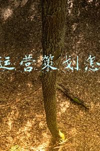 杭州运营策划怎么做