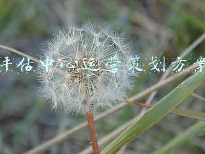 评估中心运营策划方案