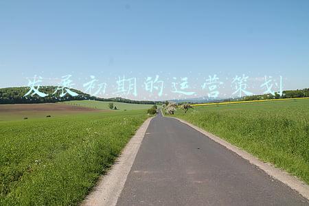 发展初期的运营策划