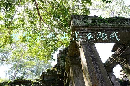 大学兼职什么最赚钱(大学想要做兼职，不想上当受骗，最好做这5类工作)
