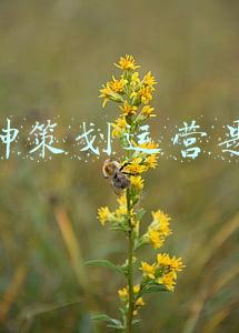 原神策划到底是谁(氪金30万后，他决定成为《原神》策划，却被米哈游保安赶出总部)