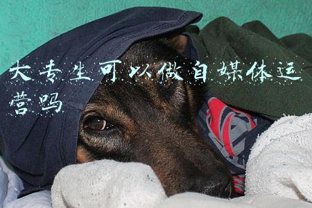 大专生可以做自媒体运营吗