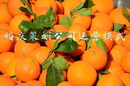 婚庆策划公司运营模式
