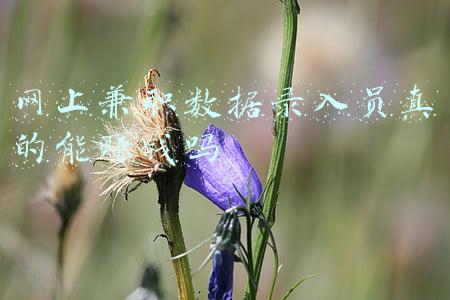 网上兼职数据录入员真的能赚钱吗