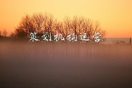 策划机构运营