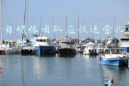 自媒体团队应该运营几个账号