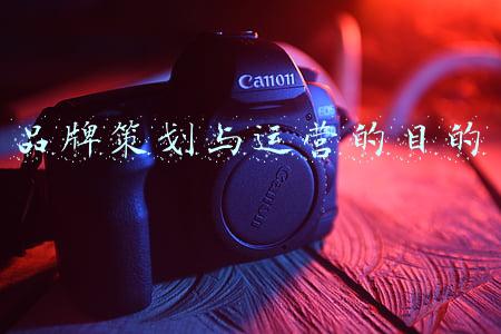 品牌策划与运营的目的