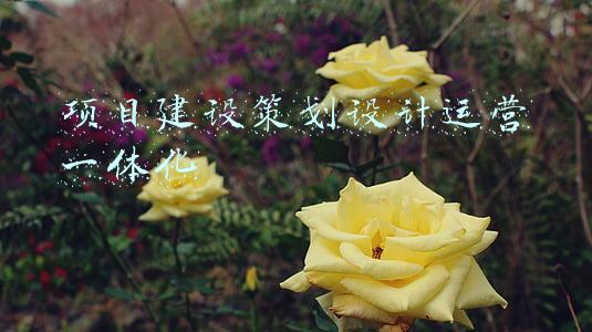 游学基地项目建设策划(中央定了，依托这所大学筹建国家老年大学)
