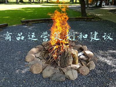 旅游商品开发建议(专家建议 通过“旅游+品牌”助力产业化突围)