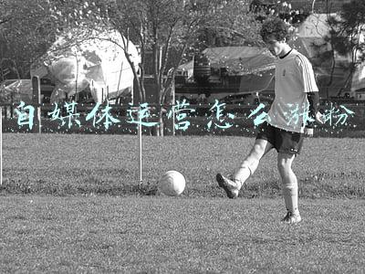 自媒体运营怎么涨粉