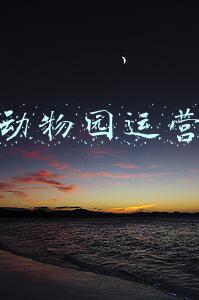 野生动物园运营策划