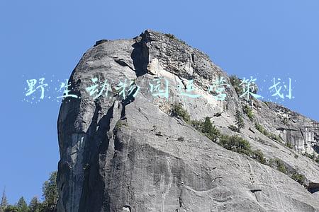 野生动物园运营策划