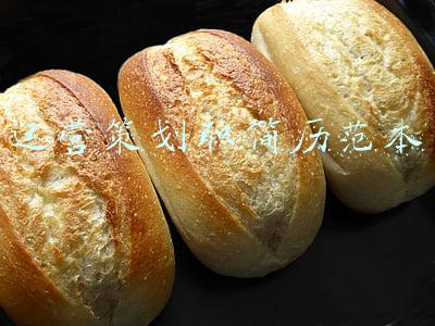 投职简历模板(别找了，13套简历模板打包送你)