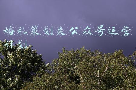 婚礼策划类公众号运营计划