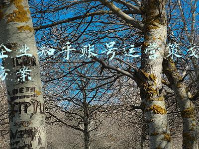 知乎营销平台个人怎么开通(知乎MCN怎么开通？需要资料有哪些？)