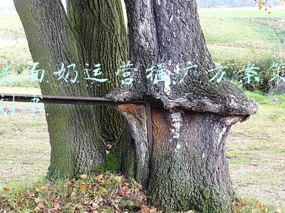 洗面奶的推广方案(洗脸生意里的另类，会成为行业下一个爆火赛道吗？)