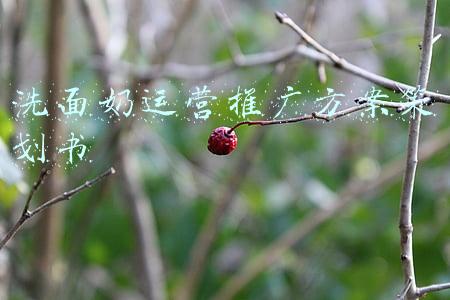 洗面奶营销策划方案(TikTok代运营：护理品牌如何定制网红营销策略，打造爆款产品？)