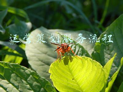 代运营服务流程(淘宝代运营服务流程是什么？)