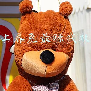 网上养兔最赚钱软件