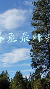 网上养兔最赚钱软件