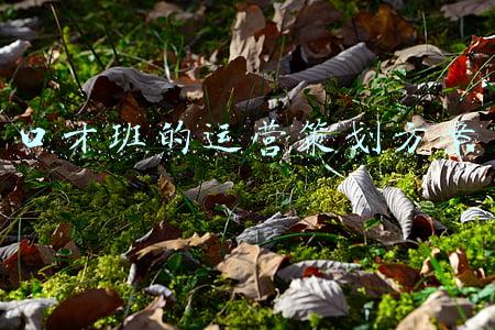 口才班的运营策划方案