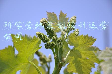 研学营地策划设计运营公司