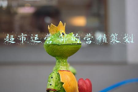 超市运营部的营销策划