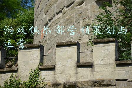 游戏俱乐部汉化版下载(「深度」豪掷300万后，游戏玩家发现“百万俱乐部”的秘密)