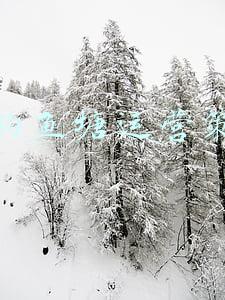 垂钓鱼塘运营策划
