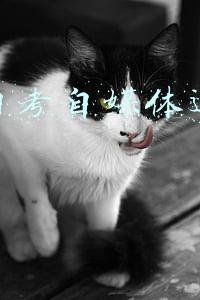 成人自考自媒体运营靠谱吗 成人自考自媒体运营靠谱吗