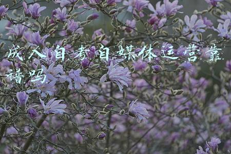 成人自考有哪些专业(北京自考本科招生专业有哪些？北京自考本科专业一览表)