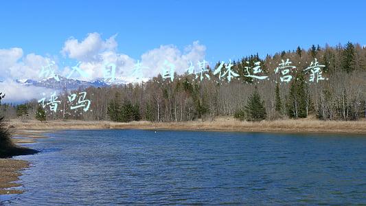 成人自考大专(成人自考大专需要什么条件)