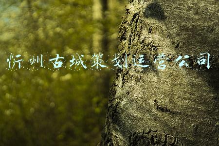 忻州古城策划运营公司