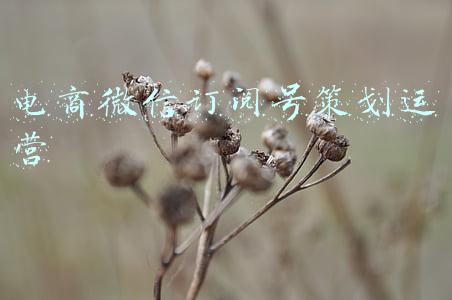 微信视频号电商(抖一抖做社交，视频号玩电商，抖音和微信攻向对方的腹地)