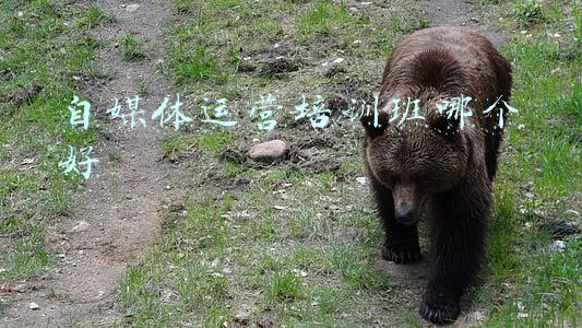 自媒体运营培训班哪个好