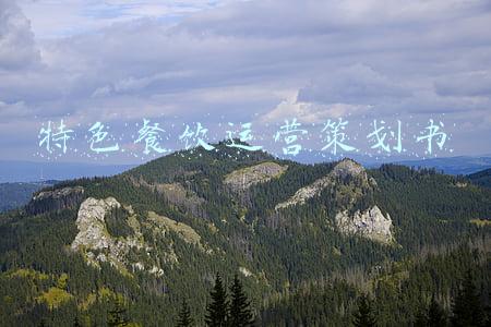 特色餐饮运营策划书