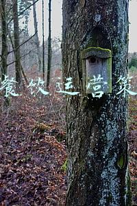 特色餐饮运营策划书