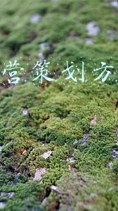 设备运营策划方案编制要求