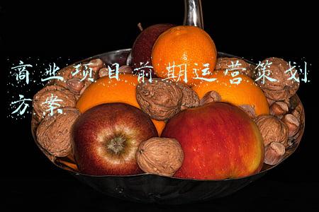 商业项目前期运营策划方案