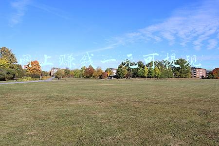 小游戏赚钱一元提现(一画到底100能提现吗 一画到底100为什么不能提现原因)