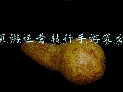 页游运营转行手游策划