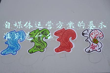 自媒体运营方案的基本准则是什么