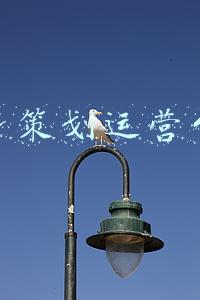 健身策划运营公司