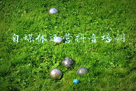 自媒体运营抖音培训 自媒体运营抖音培训