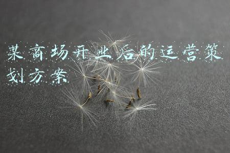 商场开业策划活动方案(六种吸引人气的商场活动策划技巧)