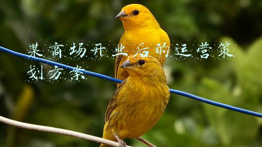 某商场开业后的运营策划方案