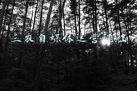 三农自媒体简介(如何操作三农自媒体？)