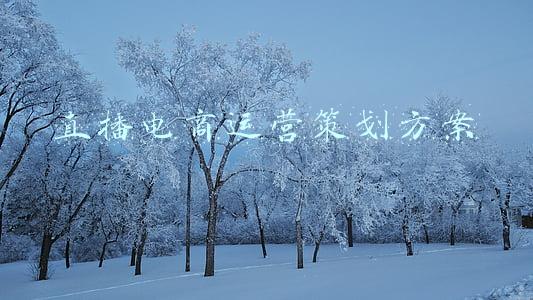 直播电商运营策划方案